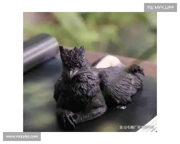 掌握狮鹫训练的五大必备技巧,让你轻松成为训练大师 掌握狮鹫训练的五大必备技巧,让你轻松成为训练大师