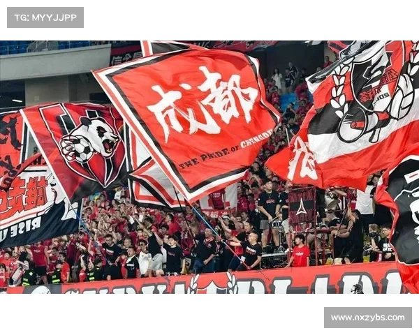 成都蓉城签塞超边锋的五大优势解析 助力球队未来发展 成都蓉城签塞超边锋的五大优势解析 助力球队未来发展